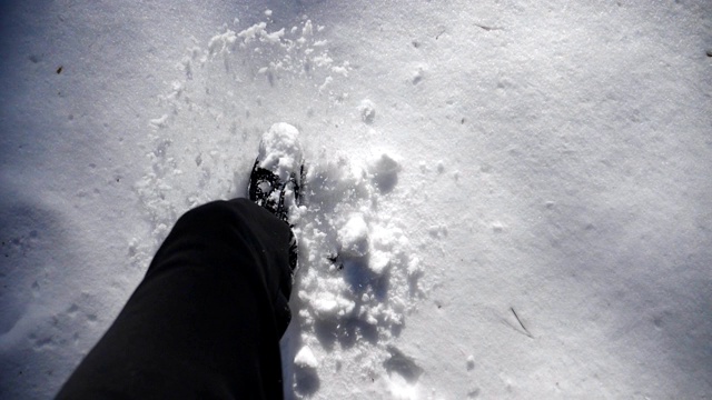 顶视图的人的腿踏在深深的雪地照亮阳光。一个难以辨认的徒步旅行者穿过积雪的冬季森林。人去户外。POV慢动作特写视频素材