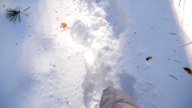 俯视图女人的腿踏在深雪和踢它。在寒冷的冬日里，一个面目全非的徒步旅行者穿过白雪覆盖的森林。女孩去户外。POV慢动作特写视频素材