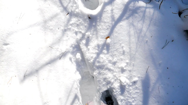 俯视图女人的腿踏在深雪和踢它。在寒冷的冬日里，一个面目全非的徒步旅行者穿过白雪覆盖的森林。女孩去户外。POV慢动作特写视频素材