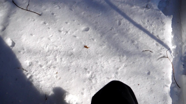 顶视图的人的腿踏在深深的雪地照亮阳光。一个难以辨认的徒步旅行者穿过积雪的冬季森林。人去户外。POV慢动作特写视频素材