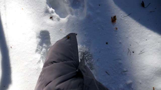 俯视图女人的腿踏在深雪和踢它。在寒冷的冬日里，一个面目全非的徒步旅行者穿过白雪覆盖的森林。女孩去户外。POV慢动作特写视频素材