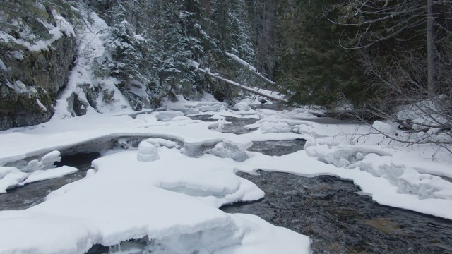 无人机:沿着山间溪流飞行，穿过风景如画的雪林。视频素材