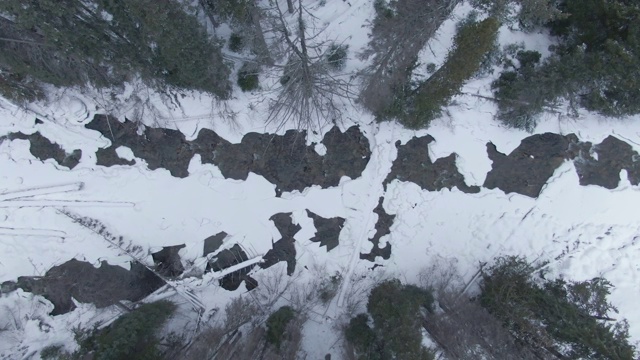 沿着山涧飞行穿过风景如画的雪林视频素材