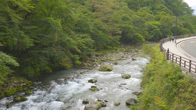 4K:日本风景森林中的Crearwater河视频下载