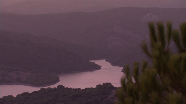 在西班牙的山区，一棵树在湖面上摇摆。视频素材