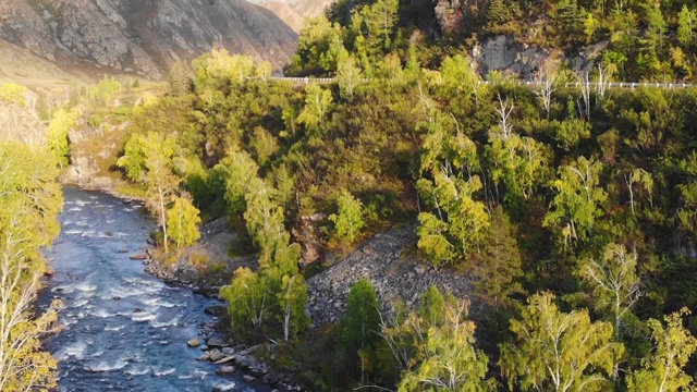 阿尔泰山脉和森林中的山河景色优美。鸟瞰图视频素材