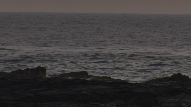 海浪冲击着夏威夷大岛的避难处的海岸。视频素材