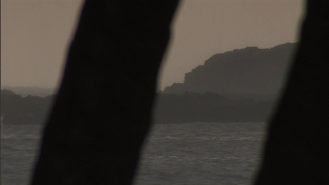 在夏威夷大岛的一个雨天，树木环绕着海岸山脉。视频素材