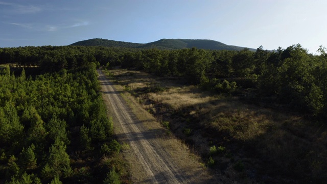 无人机拍摄的西班牙荒凉的野生道路穿过绿色植被、松树林和山脉。白天，蓝天白云。跟踪4K超高清。视频素材