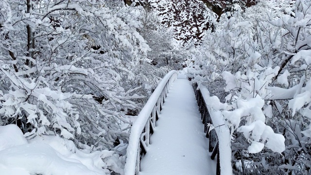 科罗拉多州博尔德市附近新下的雪覆盖了大地视频素材