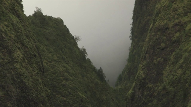 在夏威夷有雾的日子里，森林覆盖着群山。视频素材