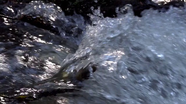 在阳光下旋转着水视频下载