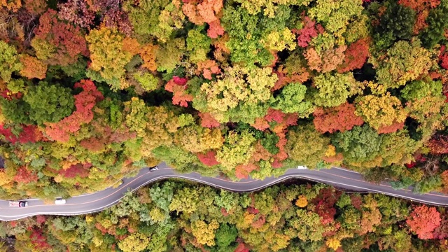 空中拍摄的路在山上的秋天时间在日本视频素材