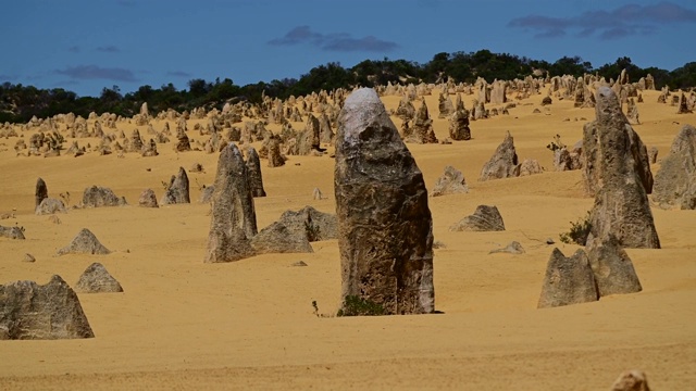 西澳沙漠地貌的尖峰视频素材