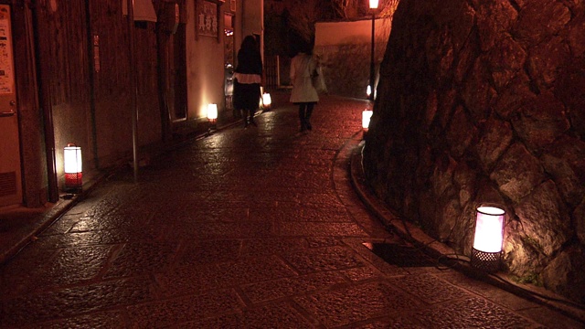 京都花鸟路视频素材