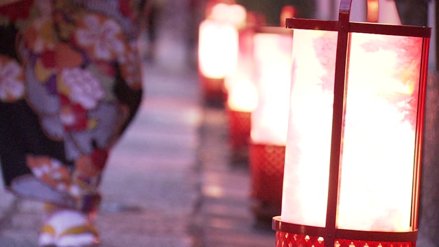 京都花鸟路视频素材