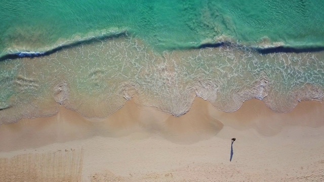 美丽的热带海滩顶视图。无人机拍摄到海滩上碧绿的海水。俯瞰美丽的海滩。加勒比海海滨海滩与绿松石水和海浪鸟瞰图。视频素材