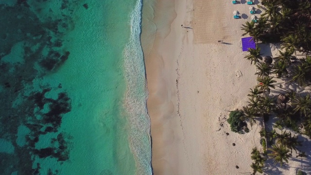 美丽的热带海滩顶视图。无人机拍摄到海滩上碧绿的海水。沙滩伞和沙滩上的棕榈树。视频素材