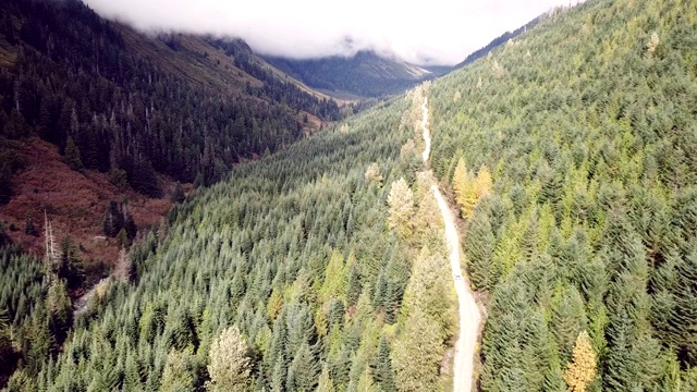 森林服务道路上的汽车鸟瞰图视频素材