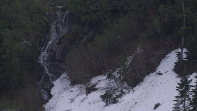 水从积雪的岩石表面滴落下来。视频素材