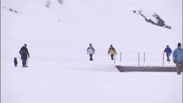 行人和宠物在雪山上雪崩的小路下行走。视频素材