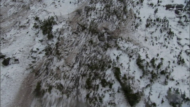 被雪崩破坏的森林的遗迹坐落在山坡上。视频素材