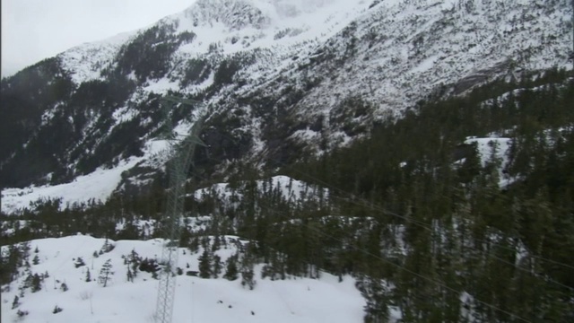 被雪崩破坏的森林的遗迹坐落在山坡上。视频素材