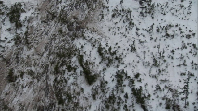 被雪崩破坏的森林的遗迹坐落在山坡上。视频素材