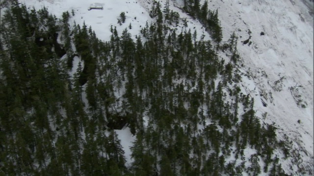 被雪崩破坏的森林的遗迹坐落在山坡上。视频素材