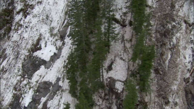 被雪崩破坏的森林的遗迹坐落在山坡上。视频素材