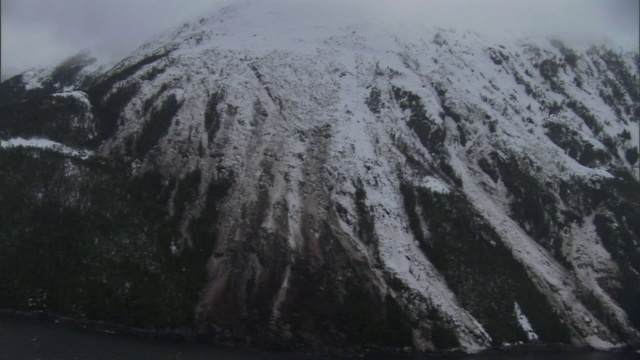 被雪崩破坏的森林遗迹坐落在陡峭的山坡上。视频素材