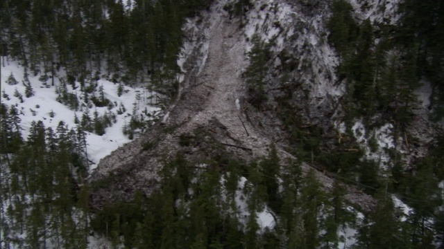 被雪崩破坏的森林遗迹坐落在陡峭的山坡上。视频素材