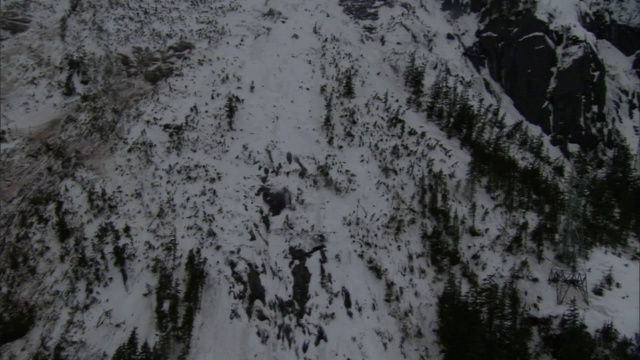 被雪崩破坏的森林遗迹坐落在陡峭的山坡上。视频素材