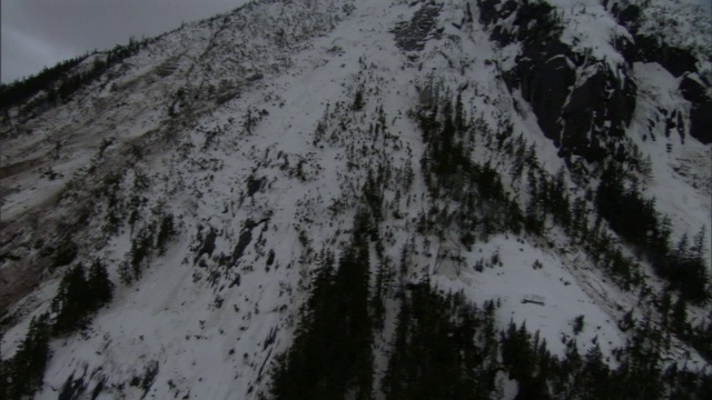 被雪崩破坏的森林的遗迹坐落在山坡上。视频素材