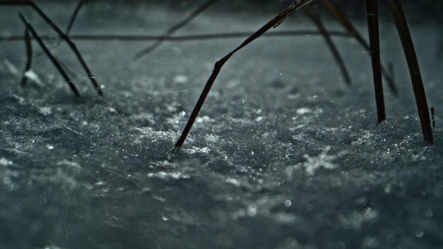 微距风雪慢动作暴风雪雪花视频素材