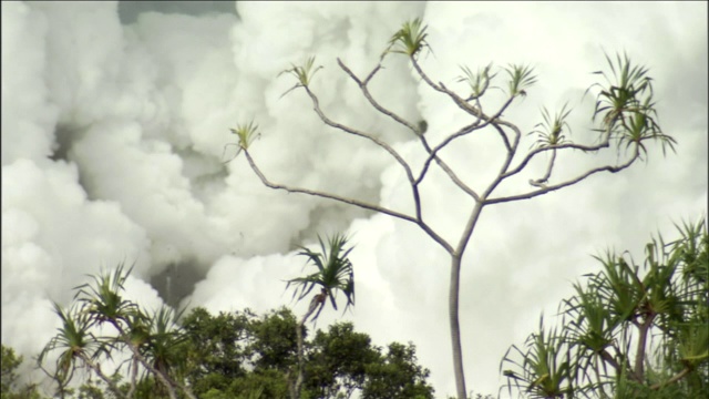 蒸汽和烟从火山中喷了出来。视频素材