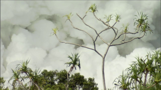 蒸汽和烟从火山中喷了出来。视频素材