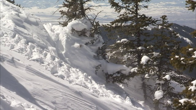 滑雪者在山上的常青树附近休息。视频素材