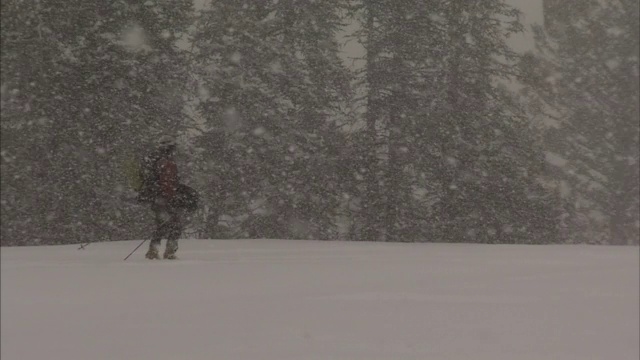 一个男人在暴风雪中滑雪。视频素材