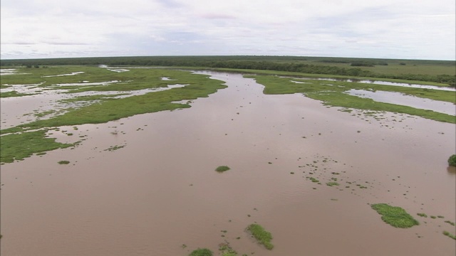 沼泽和水湾遍布非洲沿海地区。视频素材