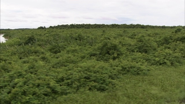 郁郁葱葱的植被构成了非洲海岸的入口。视频素材