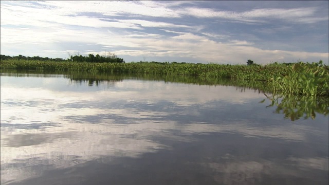 平静的湿地映出多云的天空。视频素材