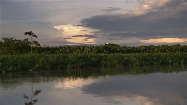 平静的湿地反映出灰色和紫色的天空。视频素材