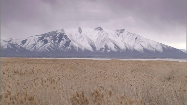 乌云在白雪皑皑的高山和广阔的草原上飘过。视频素材