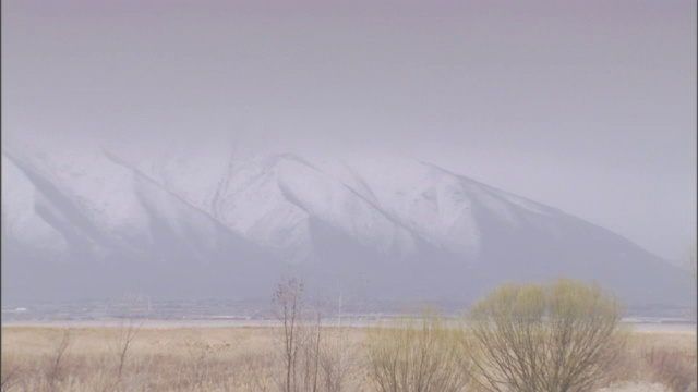 薄雾遮住了草地后面白雪覆盖的山脉。视频素材