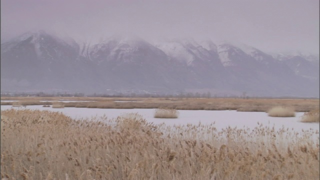 薄雾遮住了白雪覆盖的田野后面的山脉。视频素材