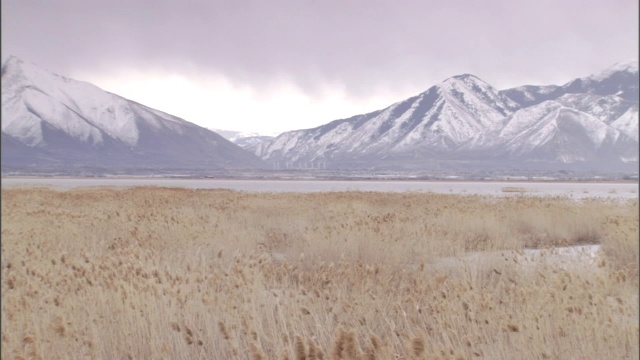 雪山与草原接壤。视频素材