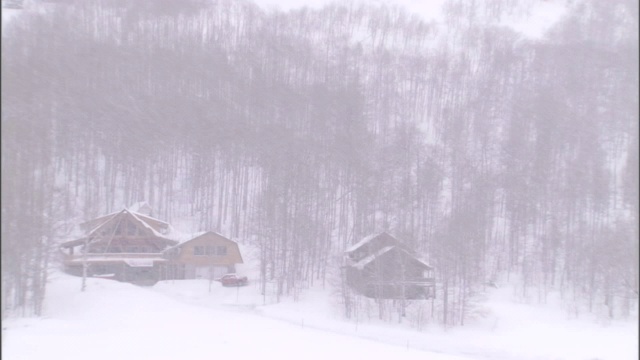 雪花半掩住了树上的小木屋。视频素材