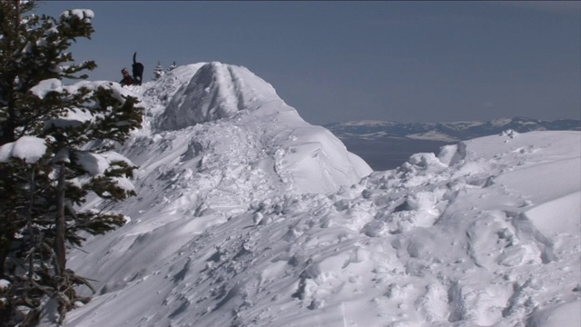 一只服务犬在雪坡上跑上跑下。视频素材