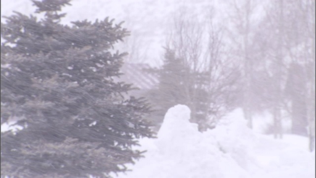 一场暴风雪在大地上落下更多的雪。视频素材